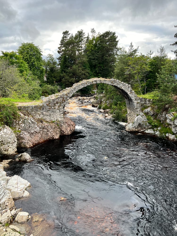 Scotland - Carrbridge 🏴󠁧󠁢󠁳󠁣󠁴󠁿